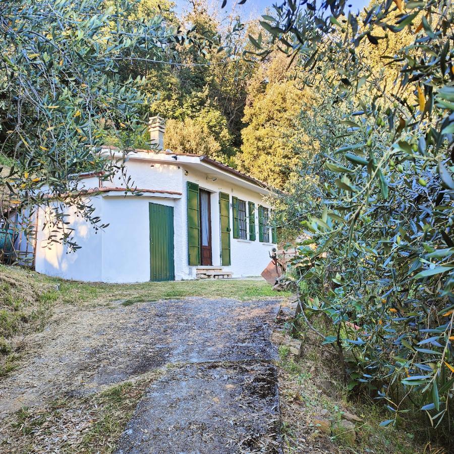 Massaciuccoli Romana Eksteriør billede