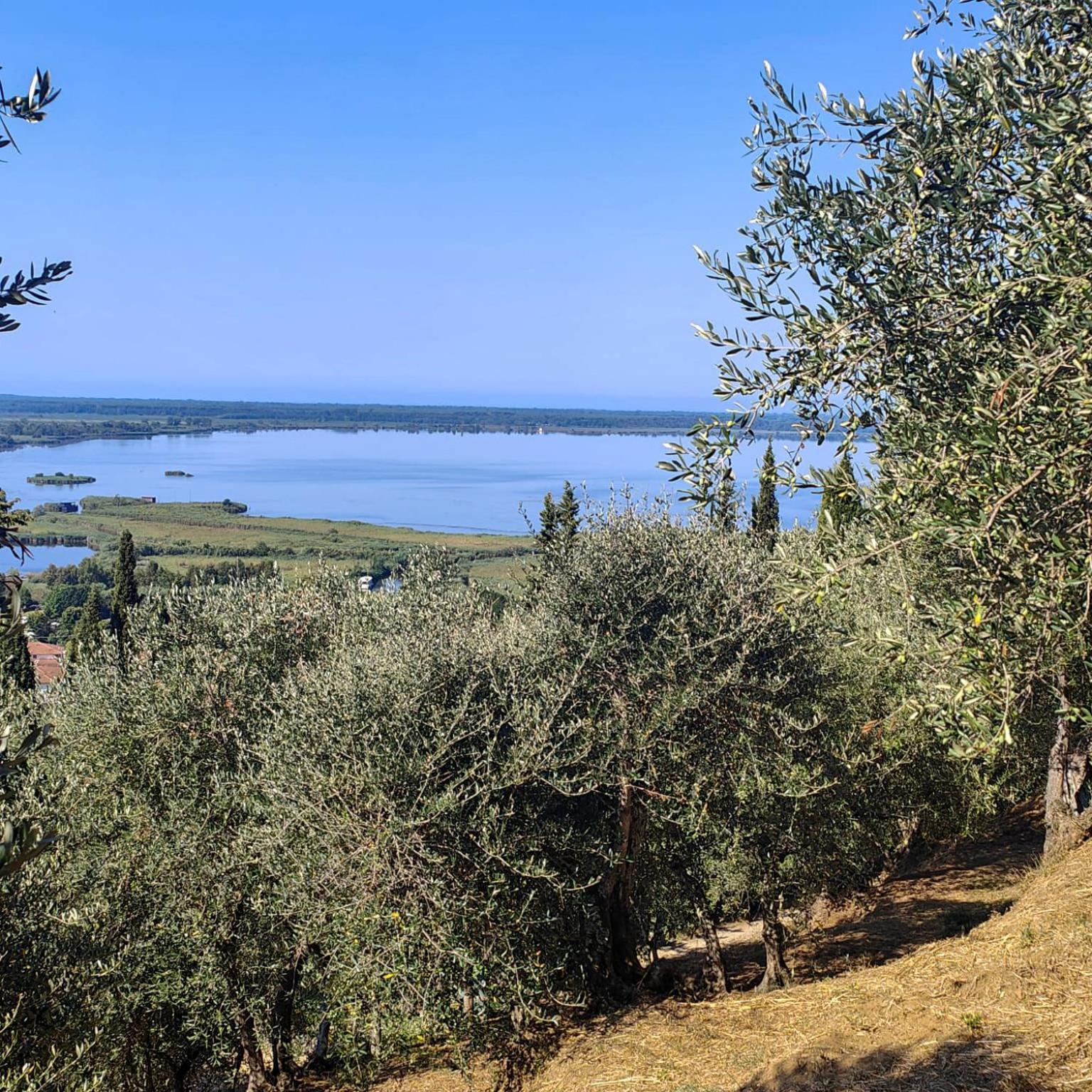 Massaciuccoli Romana Eksteriør billede